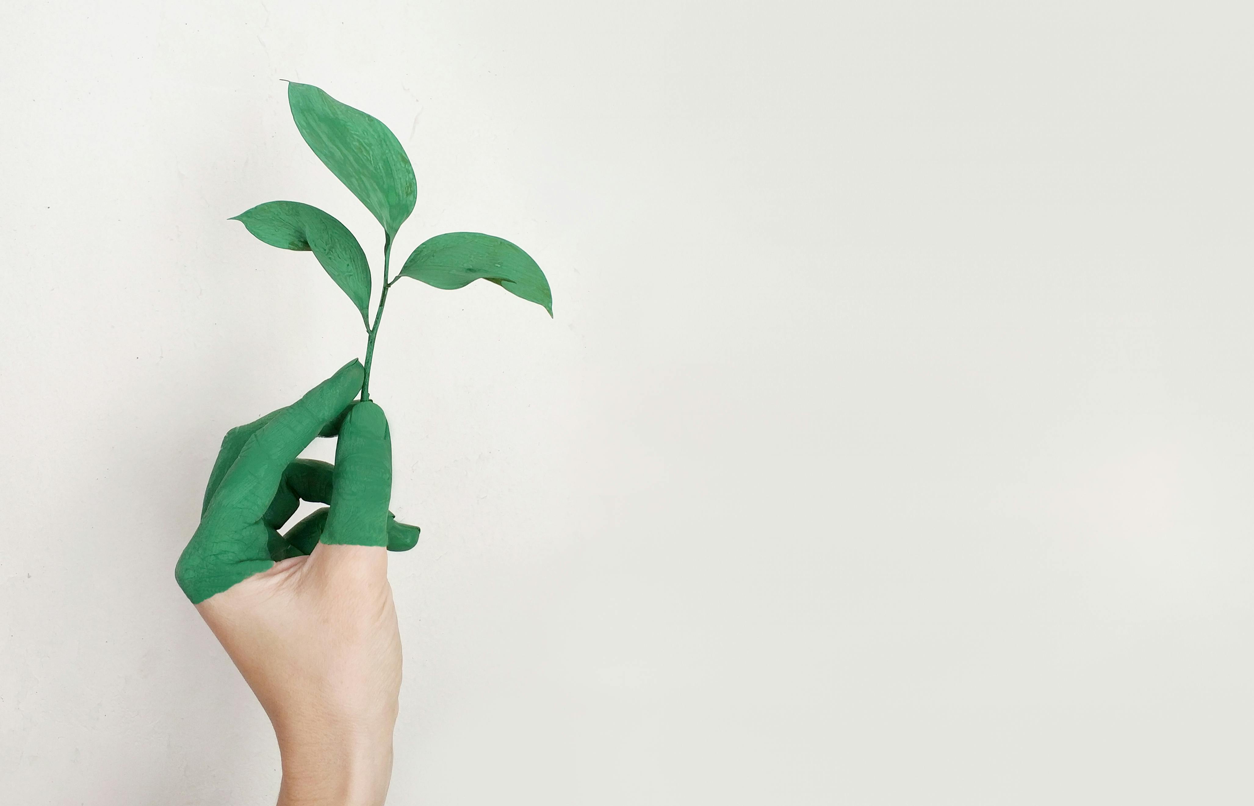 Natural Fabrics for Clothing