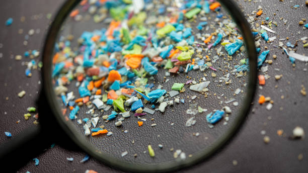 environmental impact of fast fashion